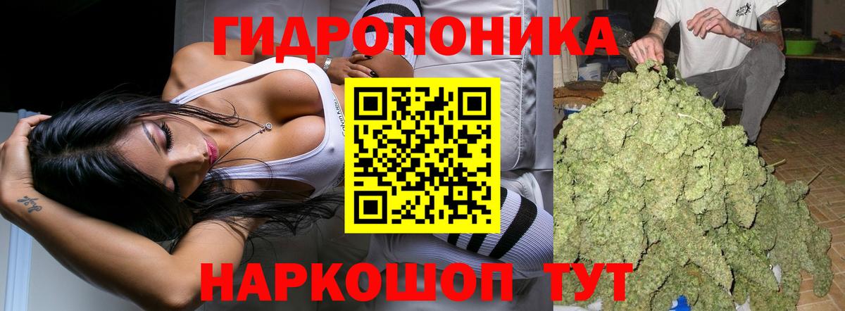 Бошки Шишки Bruce Banner  Вход с VPN  Бошки Шишки план  Канабис конопля  Артём  Шишки марихуана Bruce Banner 